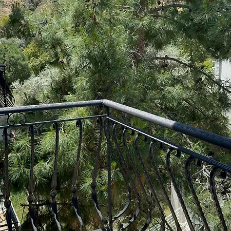 Zeytince Apartment Foca